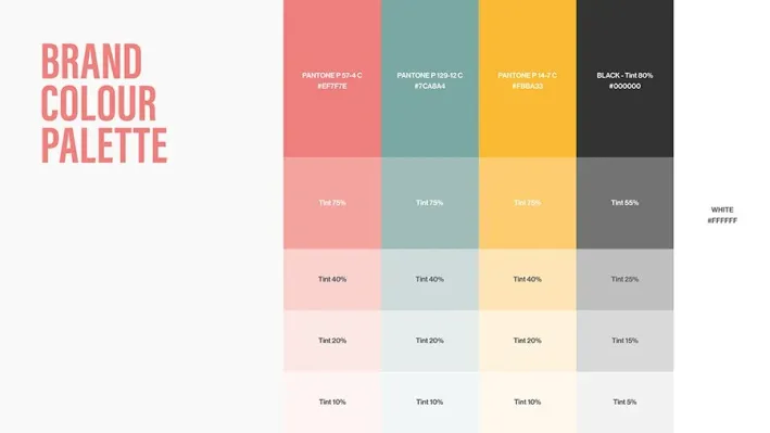 Brand colour palette from the SheHeThey guidelines