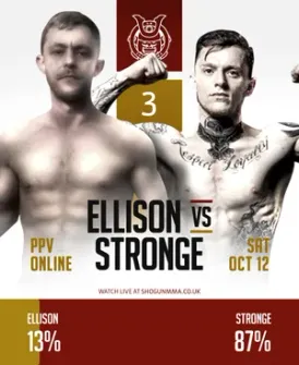 Ellison vs Stronge fan prediction, 13% to 87%
